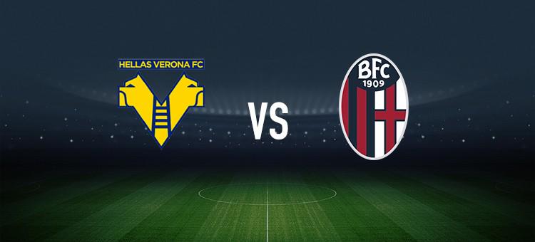 在纽约洋基 在纽约洋基